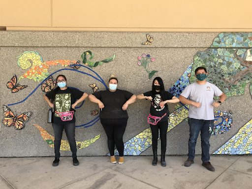 ALMA summer project during COVID