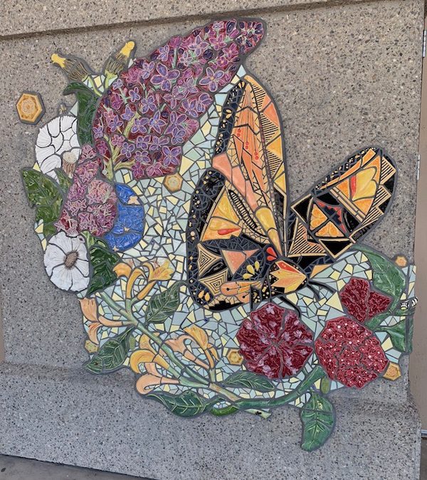 Healing Into Harmony, Summer 2019