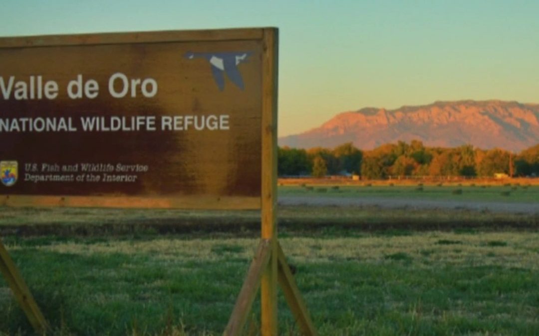 Valle De Oro Mosaic Project